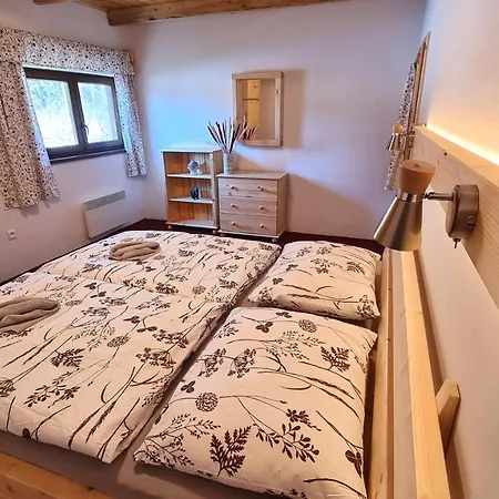 Mezi Pařezy, V Jedinečné Přírodě Jeseníků *