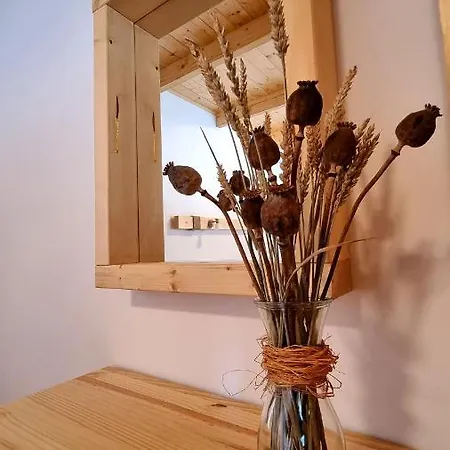 Mezi Pařezy, V Jedinečné Přírodě Jeseníků * Mikulovice (Jesenik)